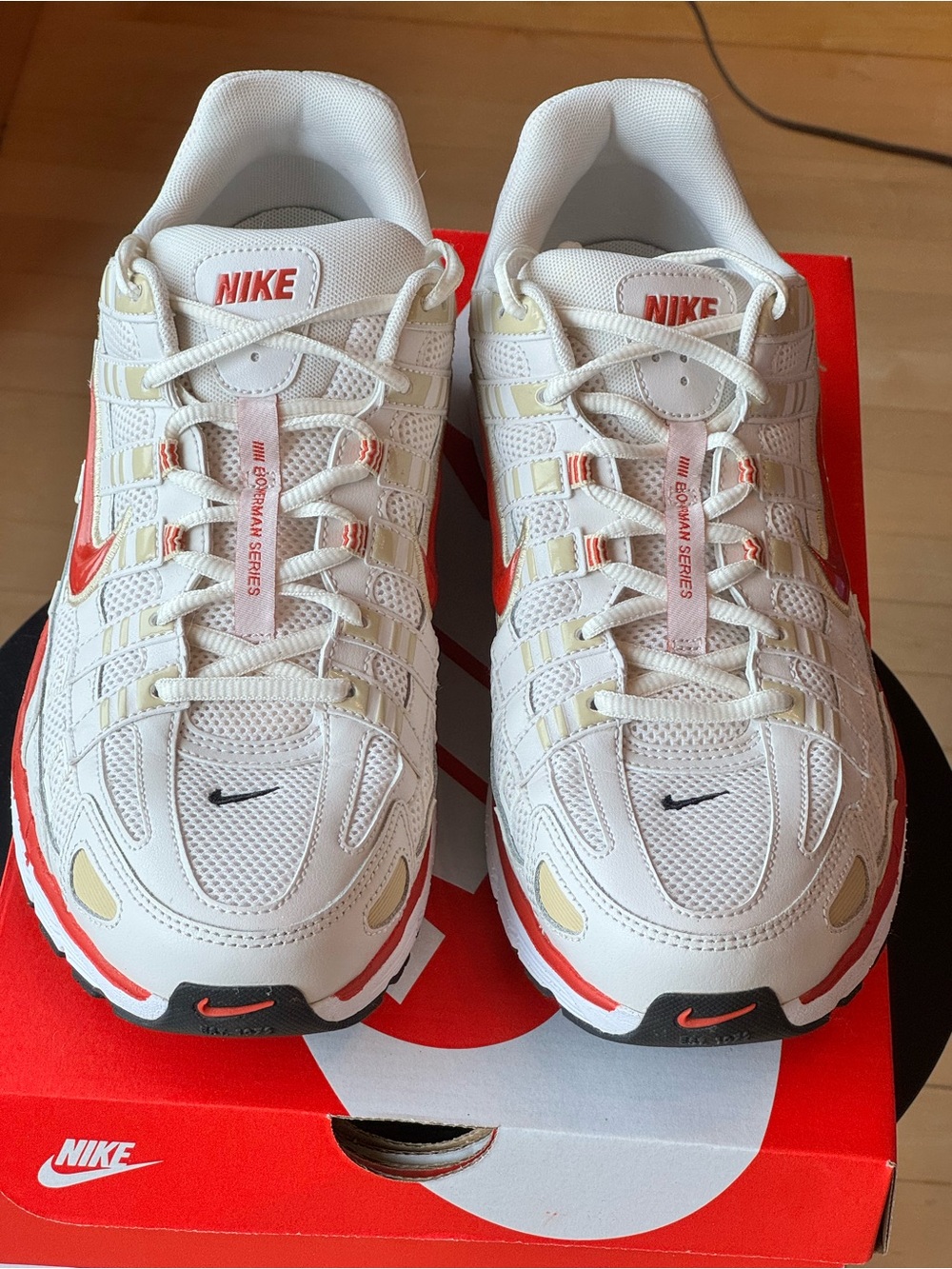 Nike P-6000